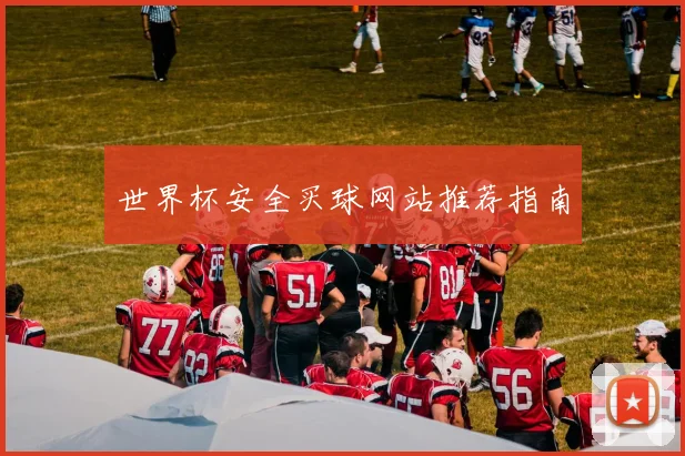 世界杯安全买球网站推荐指南