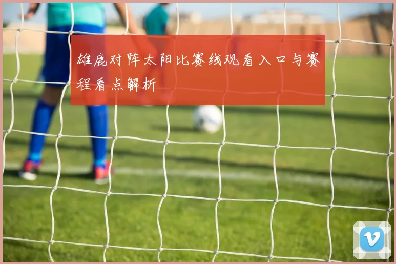 雄鹿对阵太阳比赛线观看入口与赛程看点解析