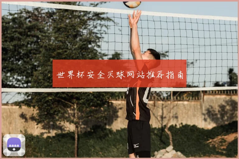 世界杯安全买球网站推荐指南