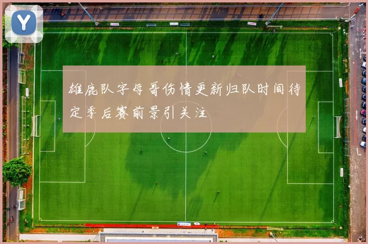 雄鹿队字母哥伤情更新归队时间待定季后赛前景引关注