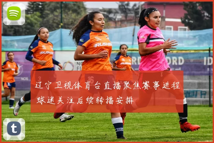 辽宁卫视体育台直播聚焦赛事进程 球迷关注后续转播安排