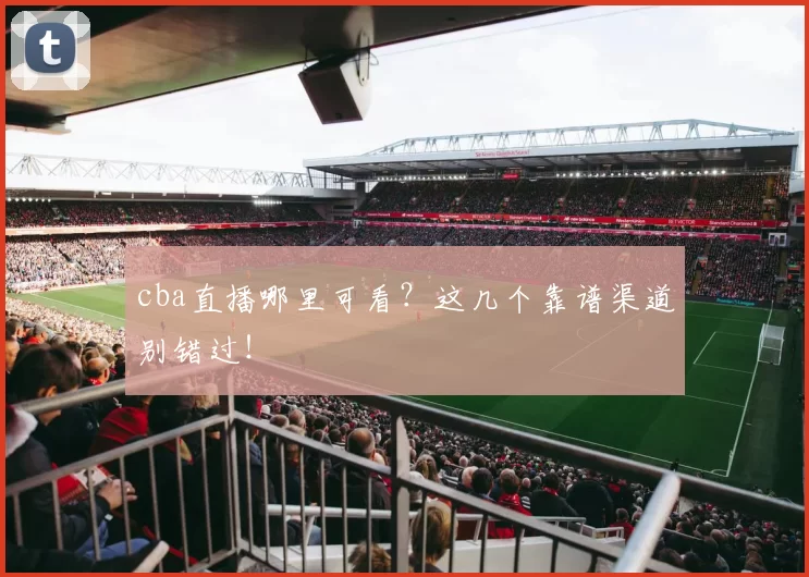 cba直播哪里可看？这几个靠谱渠道别错过！