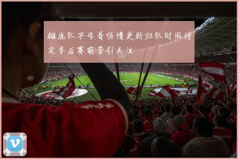 雄鹿队字母哥伤情更新归队时间待定季后赛前景引关注