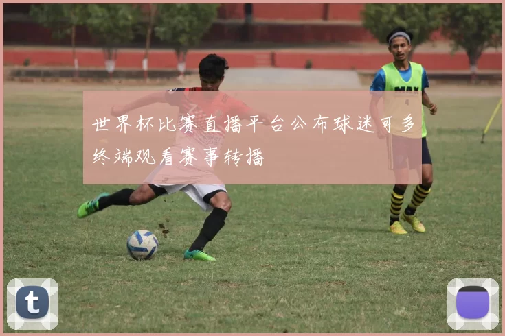 世界杯比赛直播平台公布球迷可多终端观看赛事转播