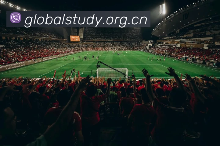 多媒体互动体验