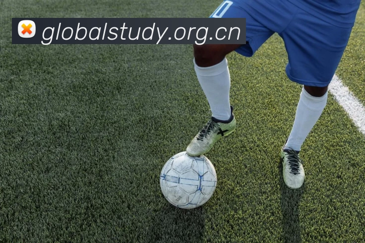 乐鱼在线登录入口官网APP 高清赛事图